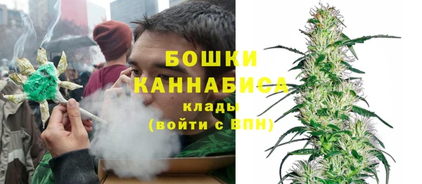 шишки Балабаново