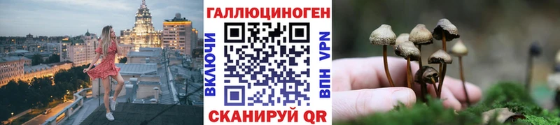 Галлюциногенные грибы Magic Shrooms  Порхов 