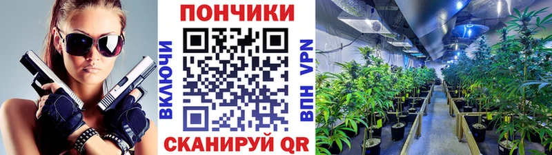 МАРИХУАНА индика  магазин    Порхов 